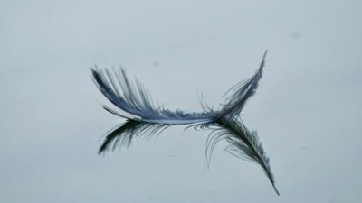 CIO 2H 2024 Outlook: A Rather Favorable Stance