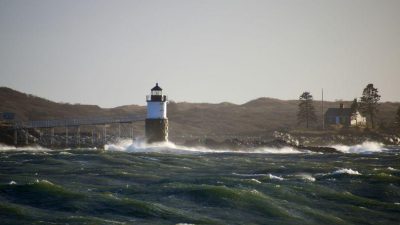 In Focus: The Growing Importance of Safe Havens